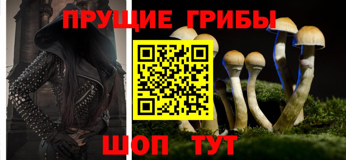 Псилоцибиновые грибы Psilocybine cubensis  Вход с VPN  Пермь 